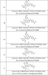 Figure GPA0000257967300000281