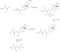 Figure US08378099-20130219-C00019