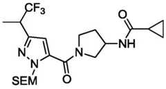 Figure BDA0001316473010000912