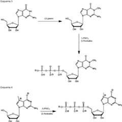 Figure imgf000077_0001