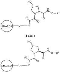 Figure imgf000395_0001