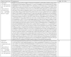 Figure imgf000065_0001