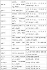 Figure BDA0001878096640000321