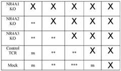 Figure imgf000146_0001