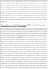 Figure imgf000146_0001