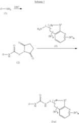 Figure US08969325-20150303-C00010