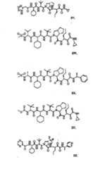 Figure BSA00000606821200671