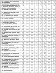 Figure imgf000265_0001