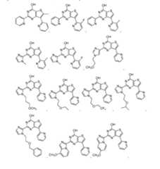 Figure imgf000338_0001