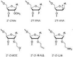 Figure BDA0003702321910000261