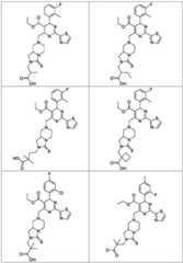 Figure FDA0003122494510000071