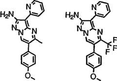 Figure G05845025220070629D002332