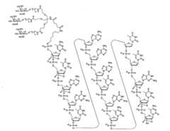 Figure 108131991-A0202-12-0025-7