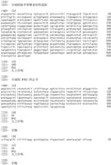 Figure IDA0002536600790001401