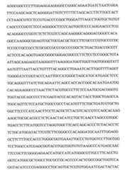 Figure 109103078-A0101-12-0088-23