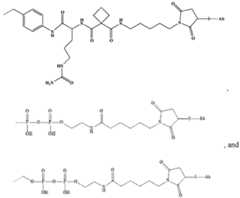 Figure imgf000316_0001