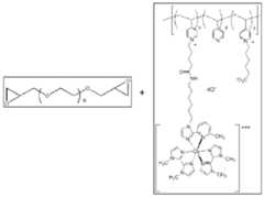 Figure imgf000017_0001