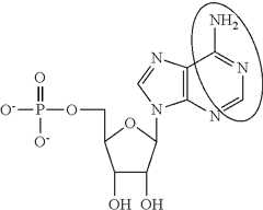 Figure US09572897-20170221-C00088