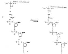 Figure imgf000019_0001