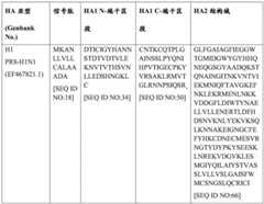 Figure BDA0004089703340000761