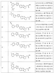 Figure BPA00001230587800481