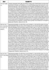 Figure BDA0003627552160000951