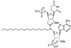 Figure imgf000177_0002