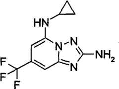 Figure GPA00001035513100603