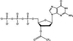 Figure FSA00000873704800031