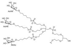 Figure 2023012548000691