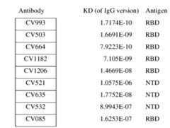 Figure imgf000084_0001