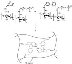 Figure imgf000043_0001