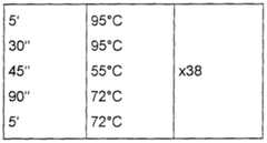 Figure imgf000018_0002