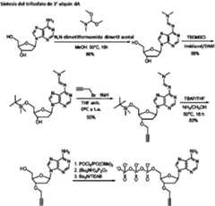 Figure imgf000021_0001