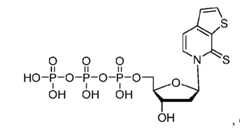 Figure imgf000054_0002