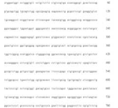 Figure 108123466-A0305-02-0375-237