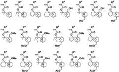 Figure 0007468295000031