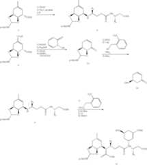 Figure US07771935-20100810-C00003