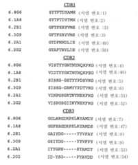 Figure 112004041268054-pct00006