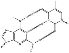 Figure imgf000041_0001