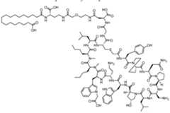 Figure imgf000559_0001