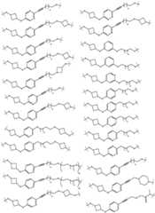 Figure BDA0003027048450002211