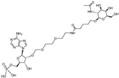 Figure imgf000121_0002
