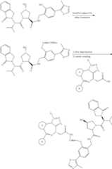 Figure US10772962-20200915-C00073