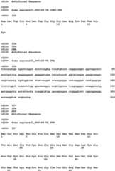 Figure imgb0121