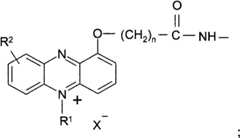 Figure FPA00001263293800021