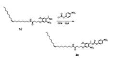 Figure JPOXMLDOC01-appb-C000078