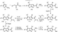 Figure imgf000033_0001