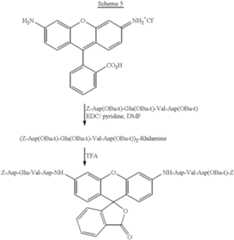 Figure US06342611-20020129-C00017