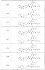 Figure A2006800095860025C1